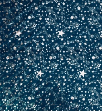 Rotolo cielo stellato argento cm.100x70