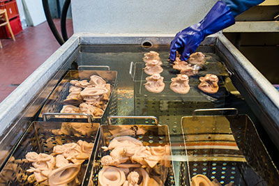 Lo stampaggio di un presepe artigianale Fontanini